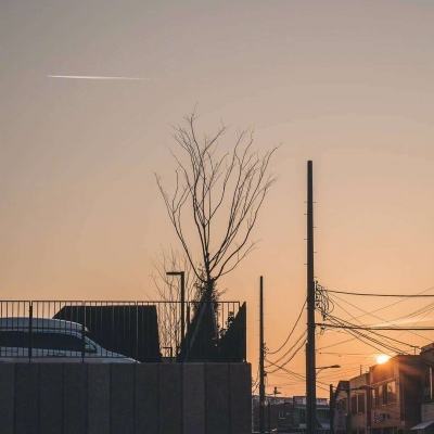 狗万官网手机app下载